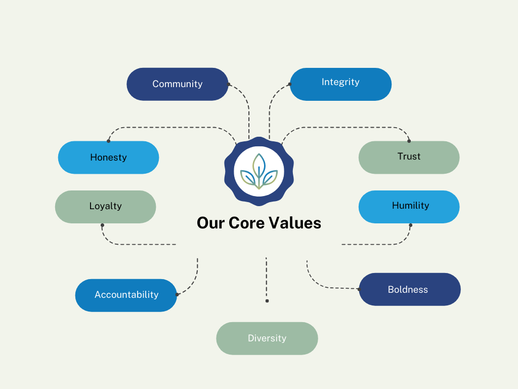 Our Core Values Infographic Graph